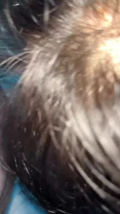 苹果核战记3